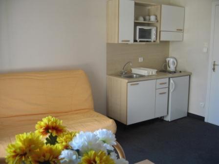Appartement France Hoteliere *